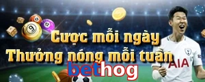 bethog